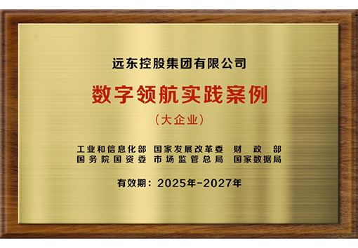 大企業(yè)數(shù)字領航實踐案例
